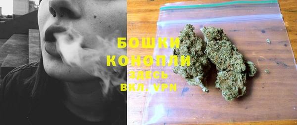 дмт Богородск
