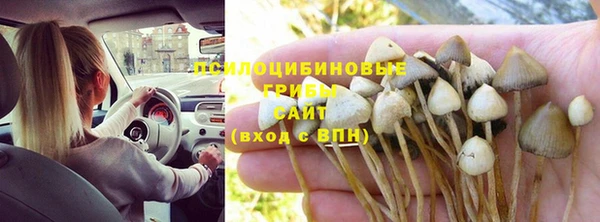 меф VHQ Богданович