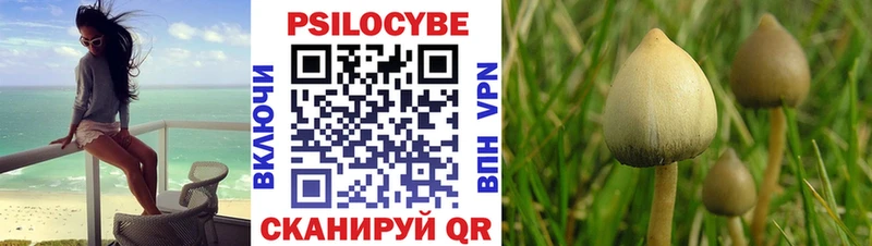 Псилоцибиновые грибы мухоморы  где продают   Новохопёрск 